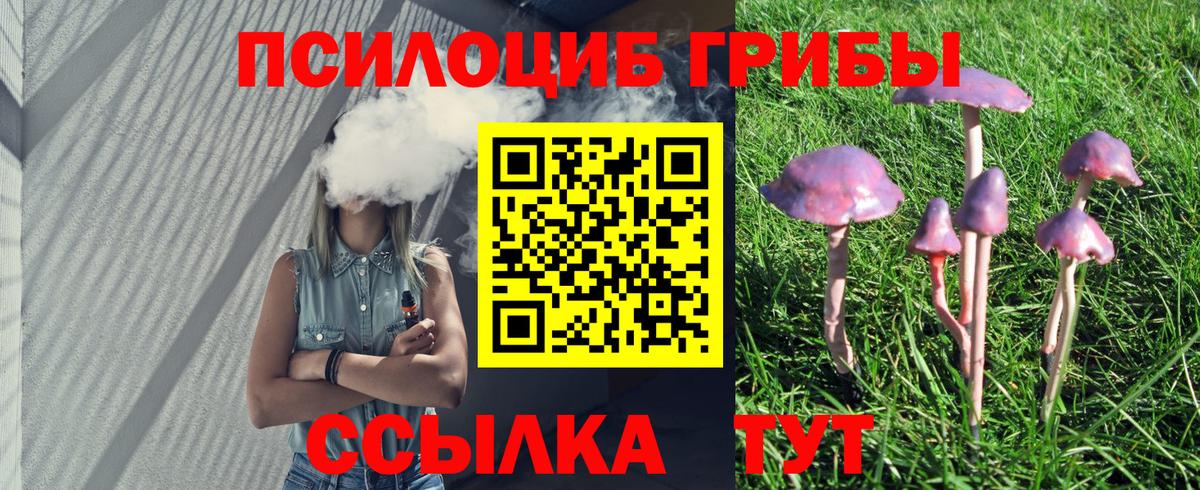 Луховицы  Галлюциногенные грибы ЛСД  Вход с VPN 